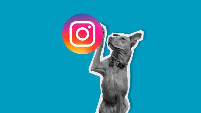 Recuperar cuenta Instagram