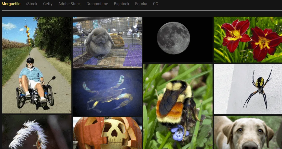 bancos de imágenes gratis